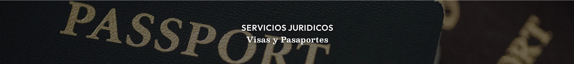 Visas y Pasaportes